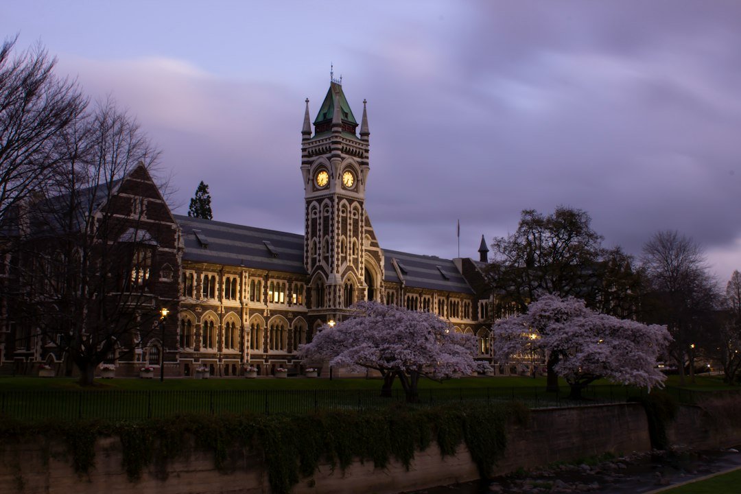 nz study destination